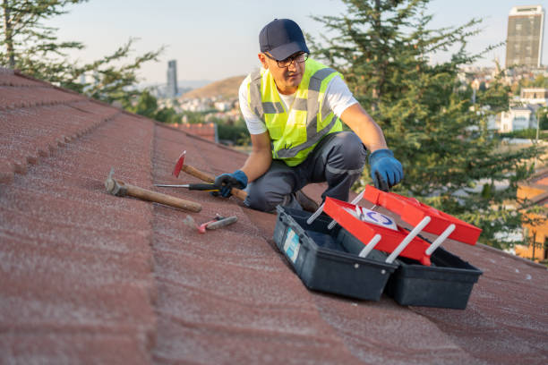 Best Stucco Siding  in Sylvania, AL