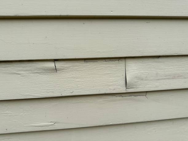 How To Choose The Right Materials for Your Siding Installation in 'Sylvania, AL